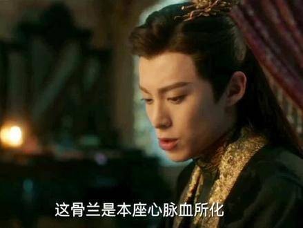 骨兰这个细节,小兰花在鹿城才真正开始倾心大强 苍兰诀好上头 一起追剧
