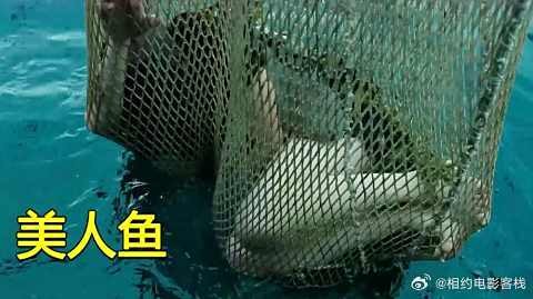 渔夫捕到一条美人鱼，日夜带在身边，总是能捕到很多鱼，爱情电影