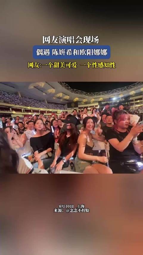 网友演唱会现场,偶遇陈姸希和欧阳娜娜! 这里更好看