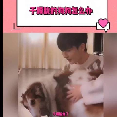 于朦胧离世留两爱犬，曾携宠拍杂志穿裙