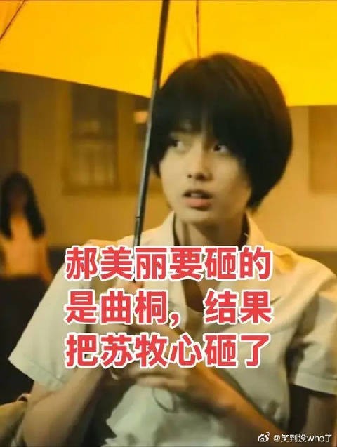 郝美丽误砸苏牧心致其失明,苏牧凡顶替弟弟人生