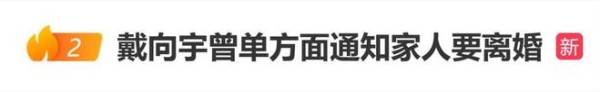 戴向宇曾单方面通知家人要和陈紫函离婚