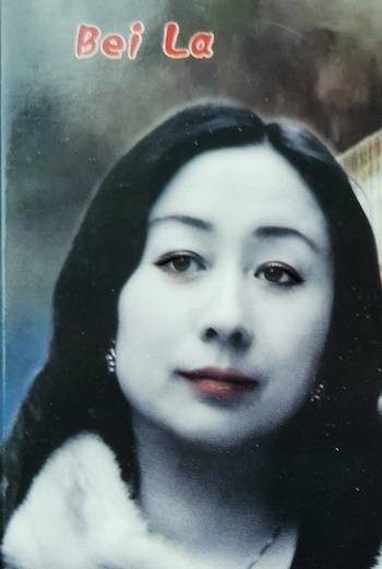 作家贝拉发布888行长诗《911生死婚礼交响乐》修复全球文明裂痕