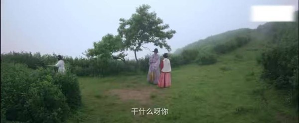 李嘉琦新剧艾四喜专注斗茶大赛情丝智商全焊死