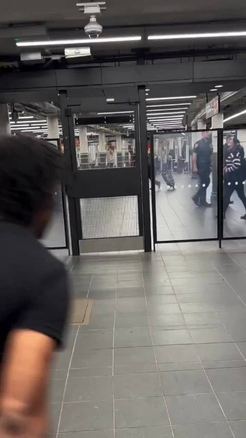 都把我看呆了！黑哥在美国逃票似乎是合法的......旁边的珀利斯假装没看到