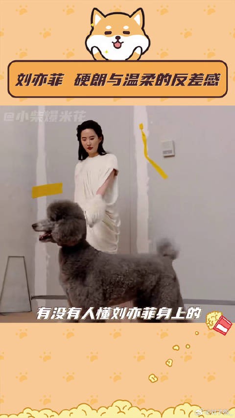 被刘亦菲迷倒就像呼吸一样简单！反差感