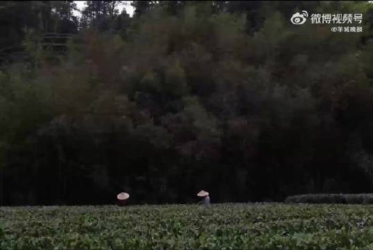 李亚鹏与妻子海哈金喜官宣离婚,孩子跟随母亲生活,由双方抚养