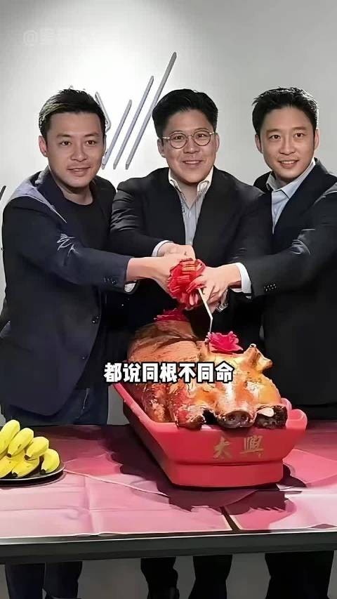 霍启刚进军政坛霍启山商界崛起