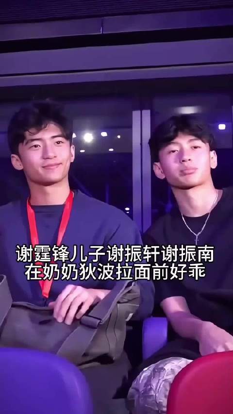 谢霆锋张柏芝儿子谢振轩谢振南在奶奶狄波拉面前好乖啊