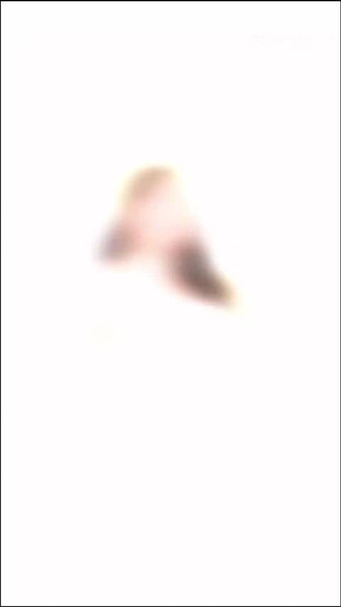 11月3日，@工夫真言沈月工作室 晒其活动红毯待我深渊归来，重写黎明序章