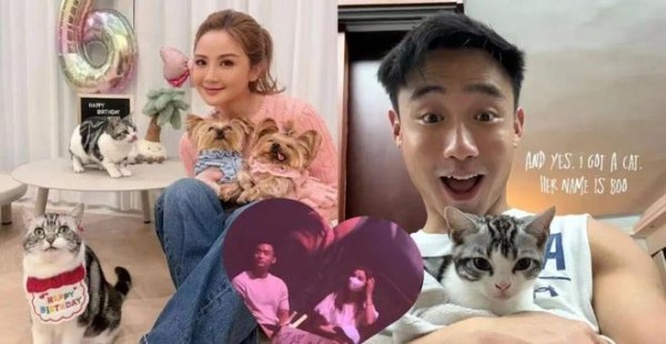 阿Sa疑曝新恋情!与Elvis林俊贤健身教练亲密看演唱会,已秘密交往数月,关系稳定,画面曝光!