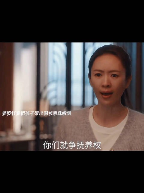 婆婆质疑儿媳不忠欲夺孙,孕妇当场怒斥