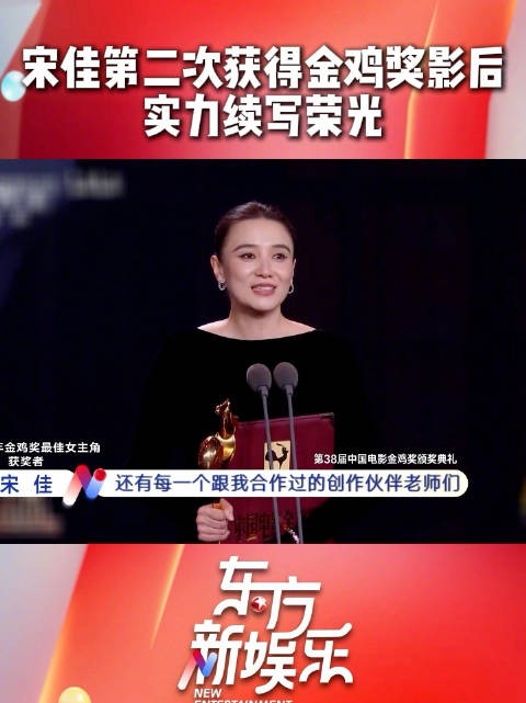 金鸡最佳女演员@宋佳 二度封后,实至名归