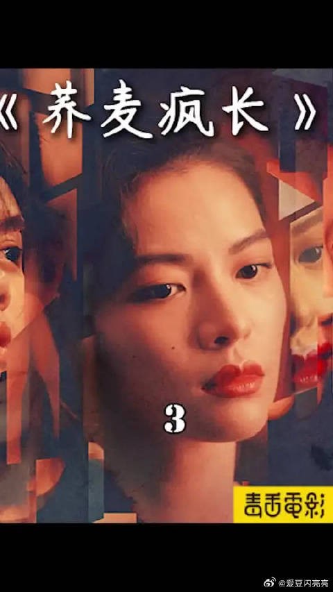 钟楚曦到底有多美