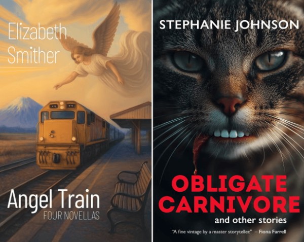 因涉及AI元素，新西兰最高图书奖取消两位作家的资格