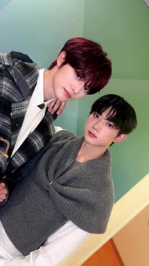 安炯燮入坑指南