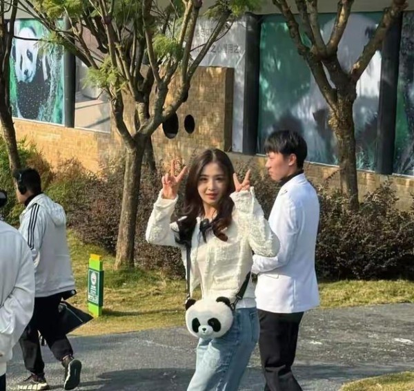 张含韵回成都看熊猫，本人穿小香风皮卷发 看起来像大学生一样甜美