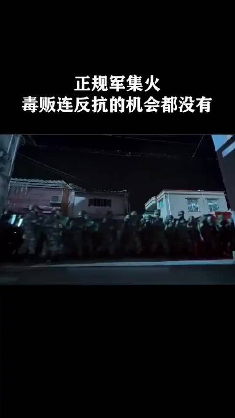 正规军集火，你连反抗的机会都没有