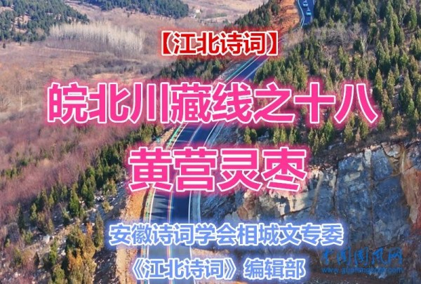 【江北诗词•皖北川藏线】之十八 黄营灵枣