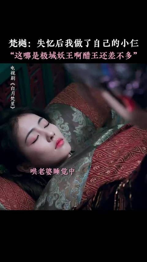 天空一声巨响，极域醋王闪亮登场