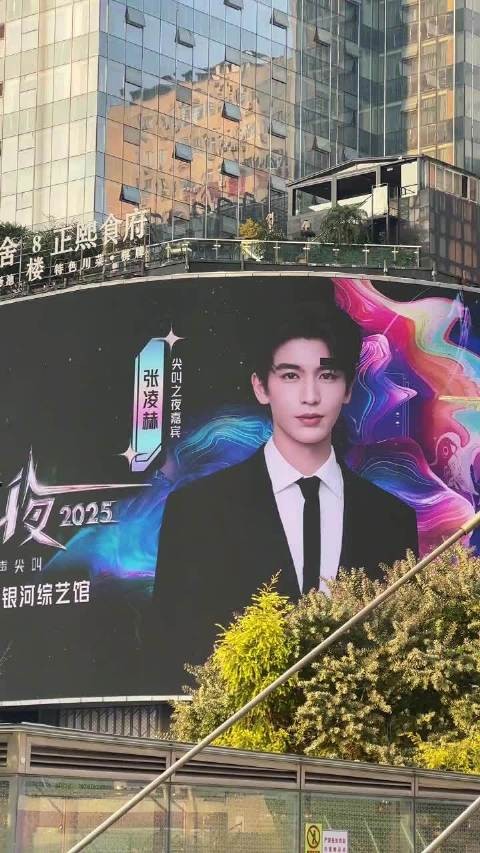 张凌赫尖叫之夜大屏 赫帝权威的脸太适配大屏了 燥候张凌赫红毯