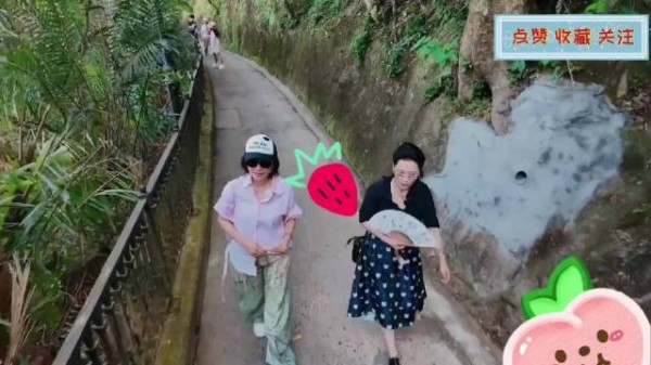 繁花团爬太平山,张柏芝邵子恒刘嘉玲宁静复刻《喜剧之王》名场面