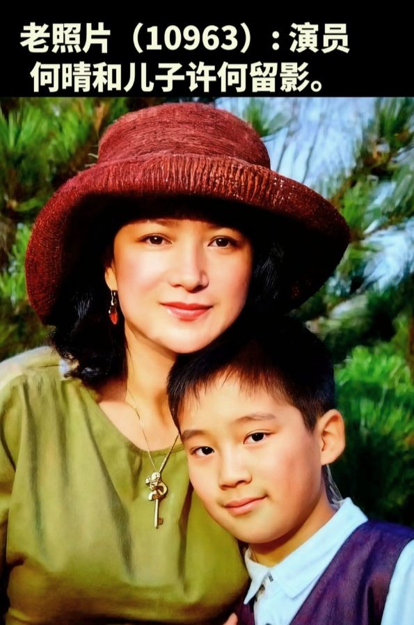 何晴去世后续:同学曝其生前诸多苦恼,儿子出生户口不能上自己家