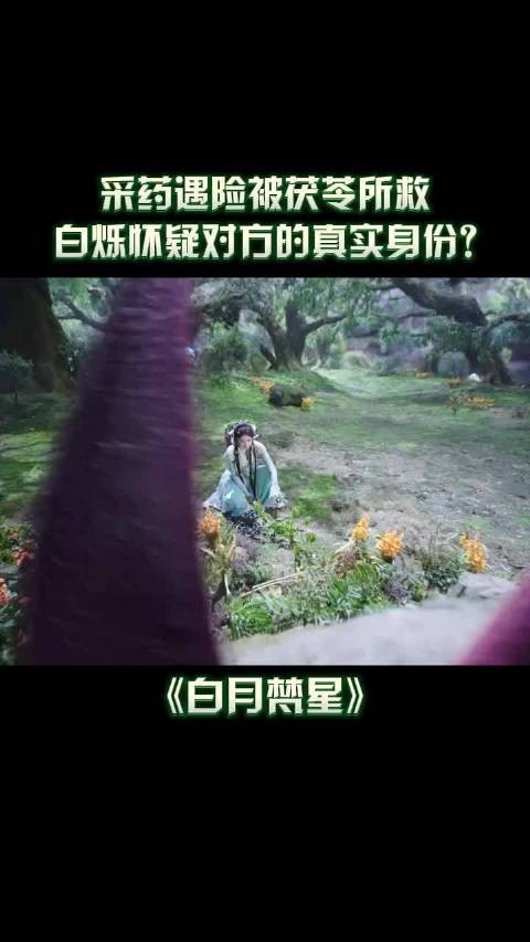 不管何时何种身份,姐姐都会永远护着白烁! 白月梵星 白鹿 代露娃