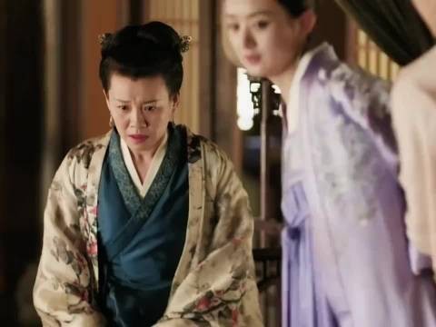 知否知否应是绿肥红瘦:“您纵有千般的不是,却有一个心软的好处”