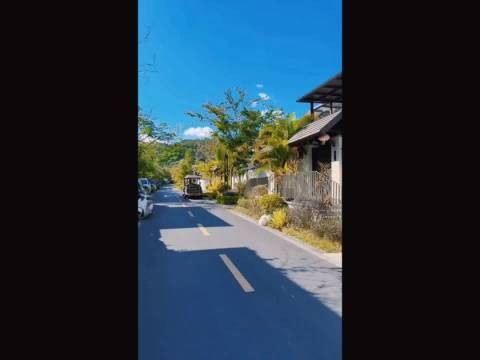 妃子们后宫养猪，个个化得黑不溜秋 《黑妃出击》