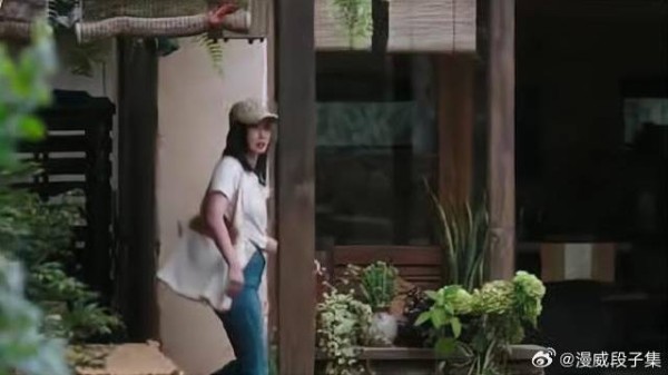 小白不常住还租五年农场，隐形的富婆，老胡捡到宝了！