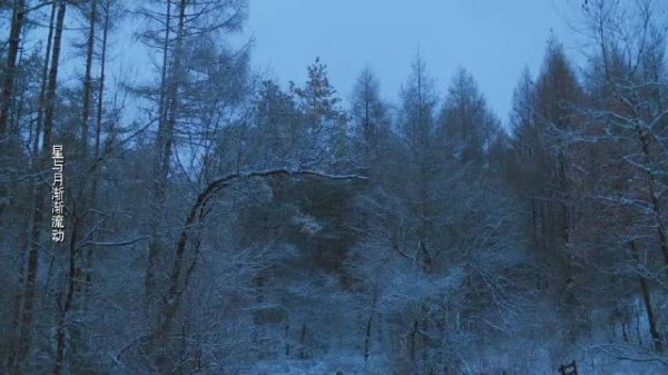 老舅：大结局：感动！陷害郭大炮的真凶被抓，老舅和舅妈在天堂相会