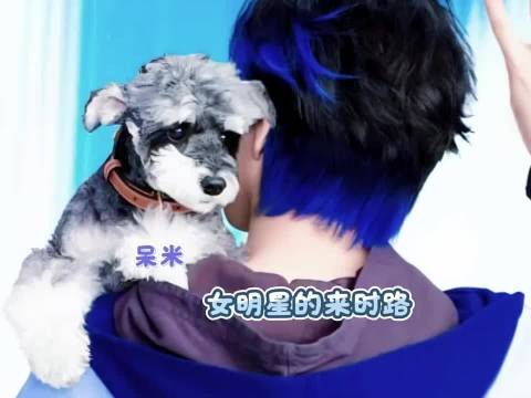 从忍辱负重到大红大紫的呆米女明星~ 刘宇宁 刘呆米 刘宇宁直播 搞笑