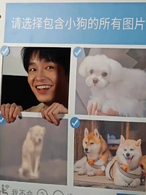 影视版用户lam分享萌宠视频引热议