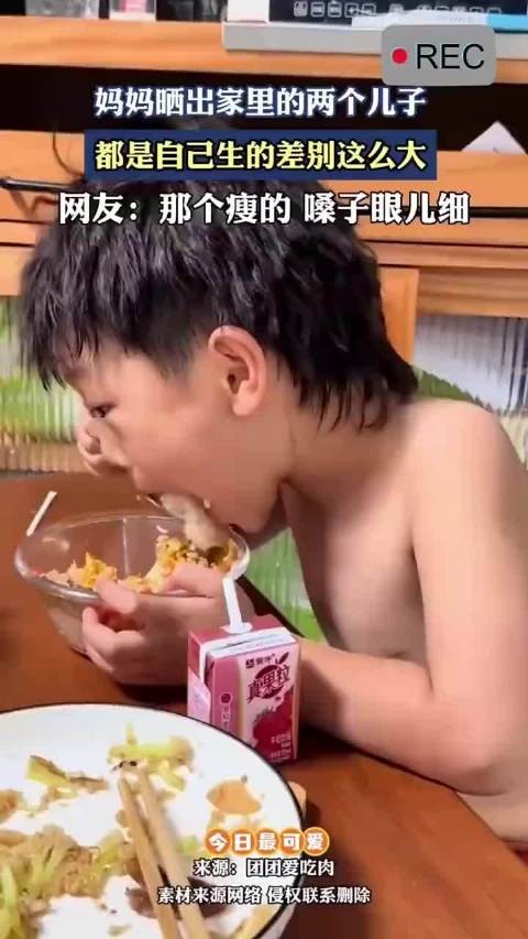 两兄弟的日常对比:一个瘦瘦的,一个胖胖的,差距好大!