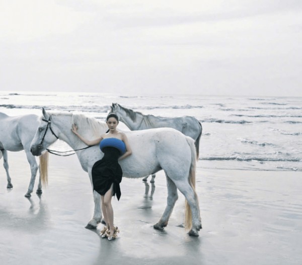 杨幂在海边与白马互动,简约造型衬得神态松弛自然。