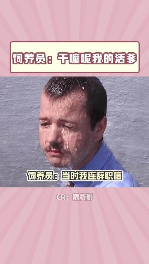 饲养员:让你拿鱼喂,不是拿自己喂~!