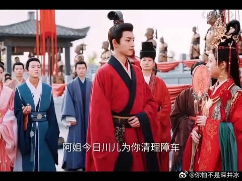 双向奔赴的皇家姐弟，但却是自家奔自家