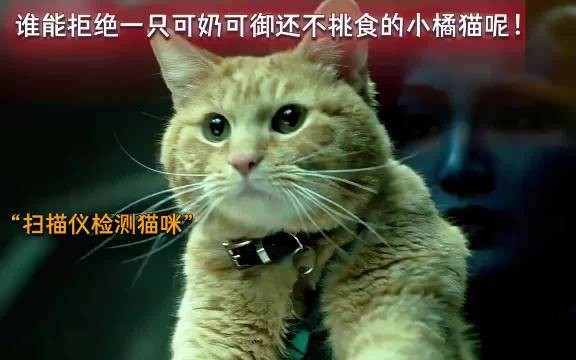 噬元兽真容曝光，尼克弗瑞失明真相揭晓