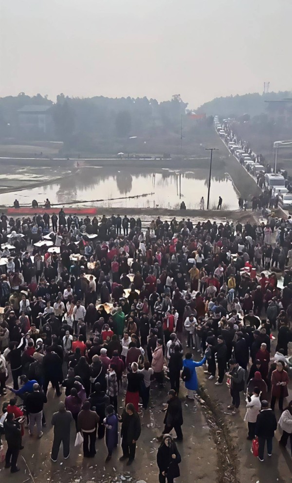 年猪手艺、年猪仪式……你知道吗？“年猪宴”里藏着不少非遗密码