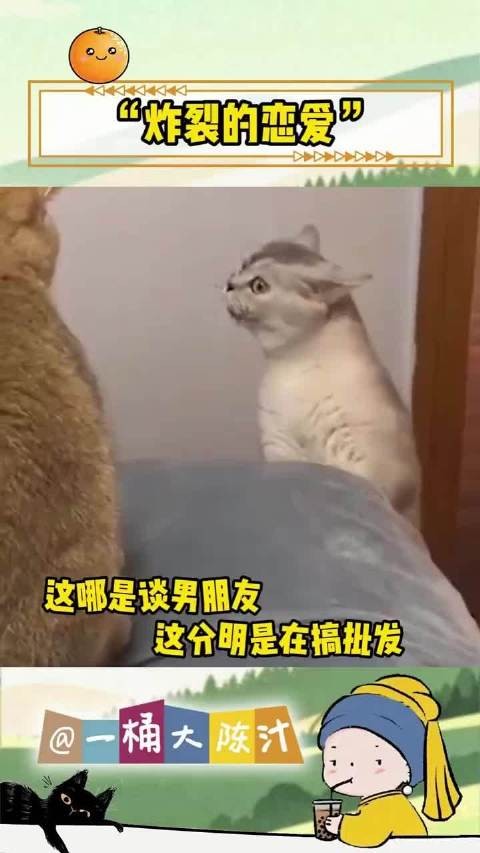 炸裂的恋爱，请谨慎观看