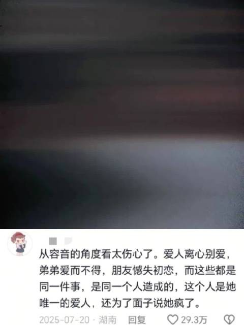皇上欲纳魏璎珞为妃引权势之争