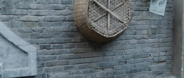 威特·陈引爆炸弹殉义，武木一郎陷绝境