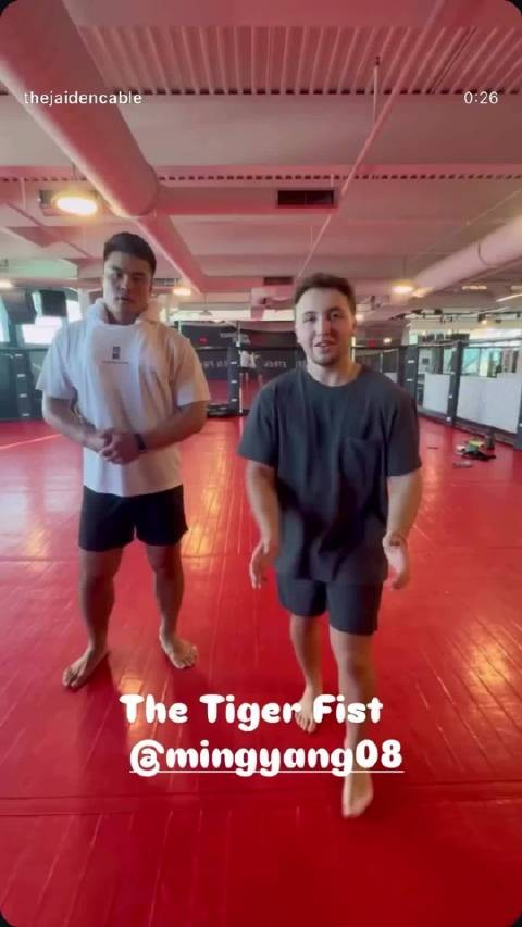 “下山虎”张名扬（Zhang Mingyang）教老外“虎爪”