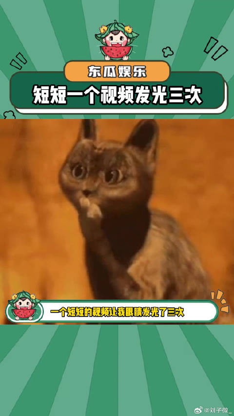 我勒个豆,让我眼睛发光了3次反差 娱乐评论大赏