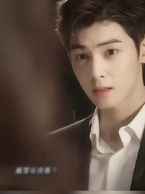 韩星车银优吴世勋颜值引热议，粉丝玩梗称应印上韩国国旗