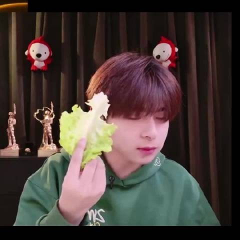 此人吃商恐怕在我之上 生菜+鸡腿肉+脆脆的鸡皮 流口水了