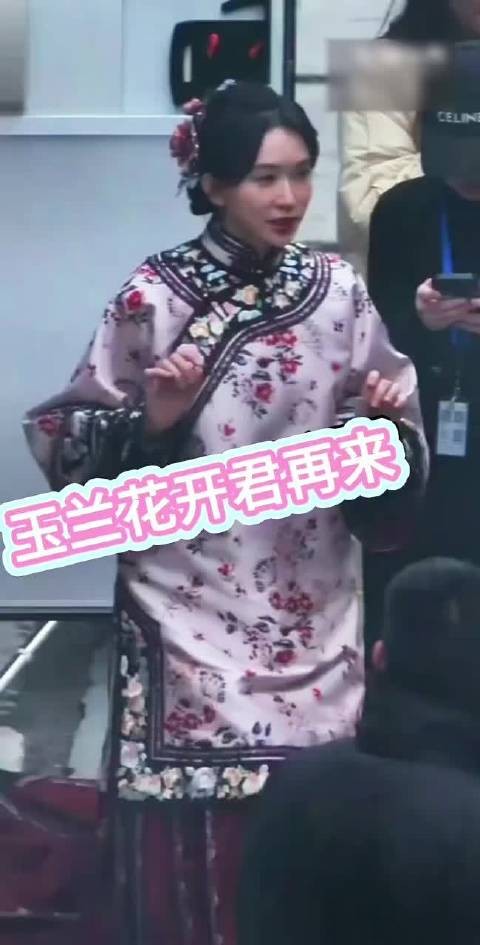 林志玲时隔8年复出参演杨紫新剧