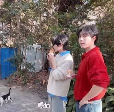 小猫失望的看着你们两个