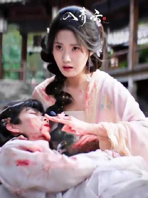 明意的猫猫回忆录